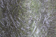 Shalden Green fibreglass roof work